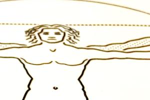 Detail van de voelbare tekening van DaVinci's Man van Vitruvius