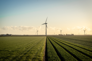 Hollandse polders met windmolens